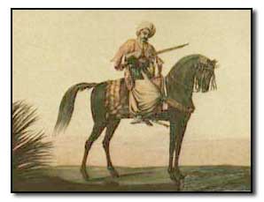 Turkish rider