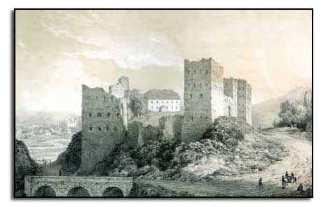 The castle in Zinkov. Engraving of XIXth century.