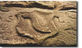 Sreniawa Adelswappen