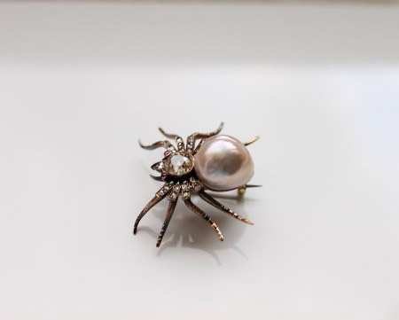 spinne1.jpg