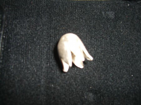 tulpe silber.jpg.JPG