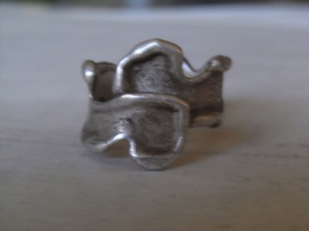 ring2.jpg