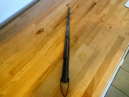 Ringriegel1 (2).JPG