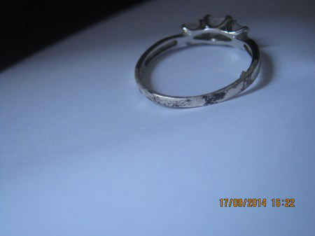 IMG_2997.JPG