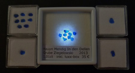 luxxbox im Vergleich zu herkömmlichen Klarsichtdosen 001.JPG