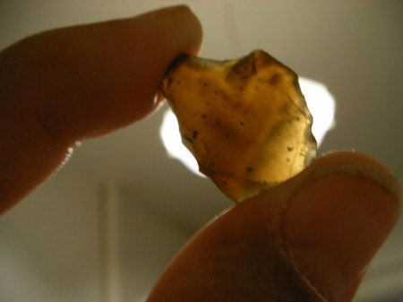 transluzent grau Durchlichtbild.JPG