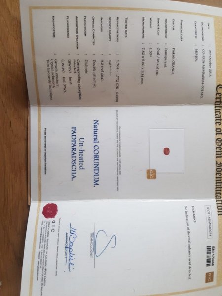 Werteinschätzung Saphire 2.0