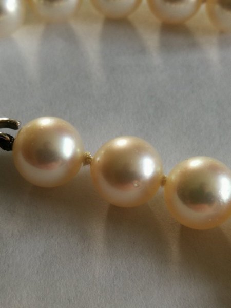 Akoya Kette mit Weißgoldschloß