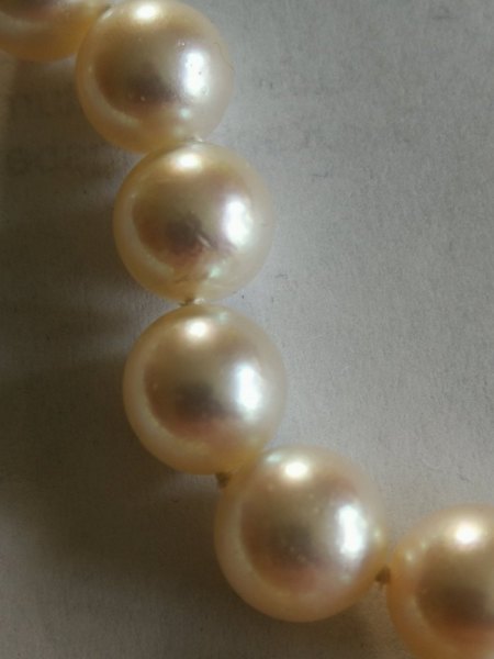 Akoya Kette mit Weißgoldschloß