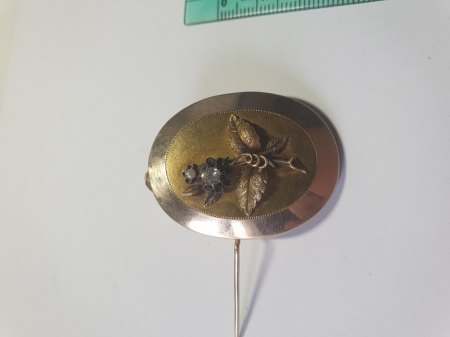 Biedermeier Schmuck? Bitte um Hilfe!