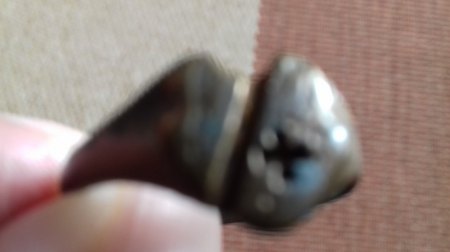 bitte um hilfe, Bodenfund, Ring bei Schloss Arnstein