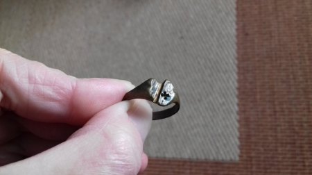 bitte um hilfe, Bodenfund, Ring bei Schloss Arnstein