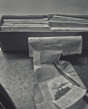 Das hat mich heute gefreut/geärgert....