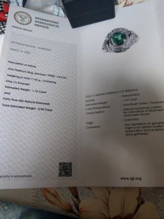 Expertis über ein Ring