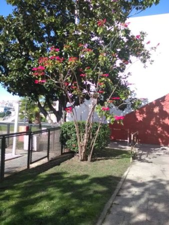 Wenn eine eine Reise tut