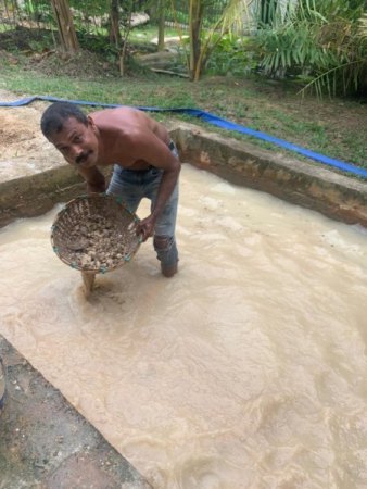 Wenn eine eine Reise tut