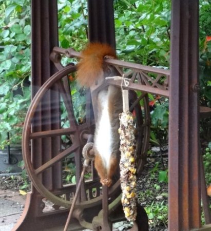 Mal keine Horror-Bilder