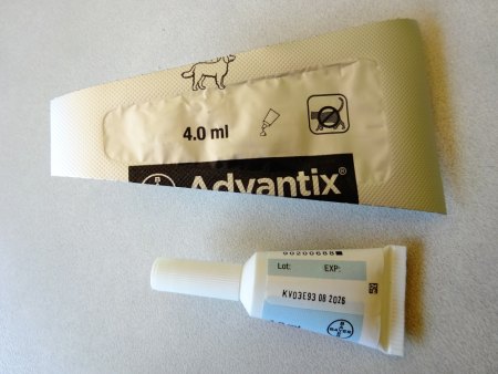 Floh-/Zeckenpräparat Hund zu verschenken