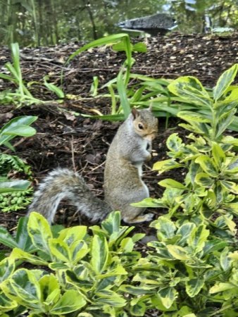 Mal keine Horror-Bilder