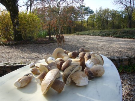 Was gibts heute zum Mittag-Abendessen?