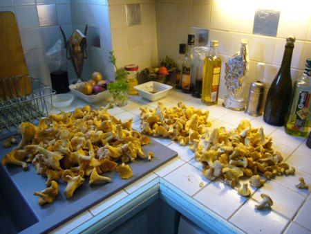Was gibts heute zum Mittag-Abendessen?