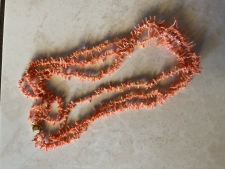 Korallenkette