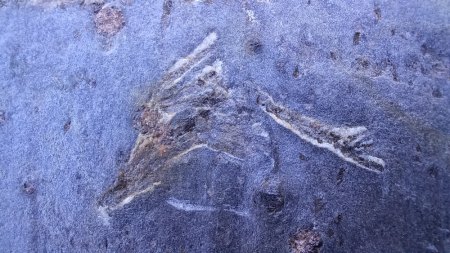 Granat in Hornblendegarbenschiefer, diese jedoch verwittert, aufgelöst