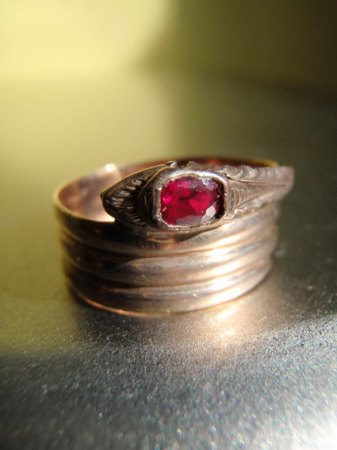 Goldring-1.jpg