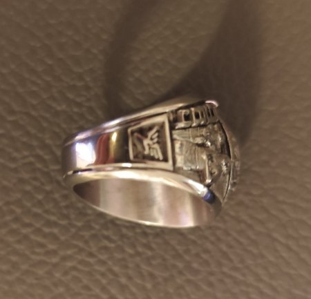 Siegelring Weißgold 10,5 Gramm