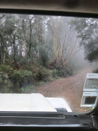 Offroad through the jungle.