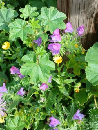 Warum bleibe ich nicht einfach da?