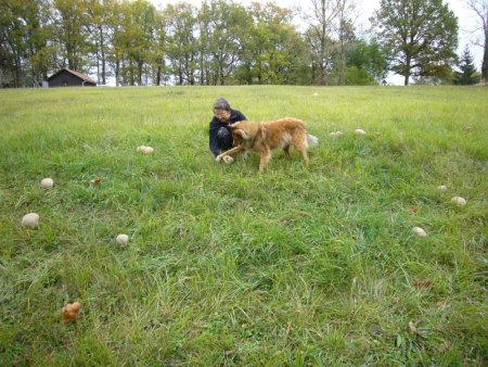 Aus uhus Werkstatt. März 2026. Seltene Versammlung?