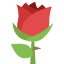 :rose: 🌹